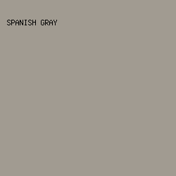 A19B91 - Spanish Gray color image preview