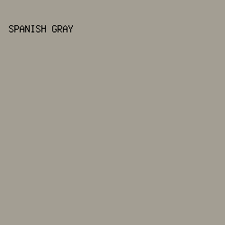 A39E93 - Spanish Gray color image preview