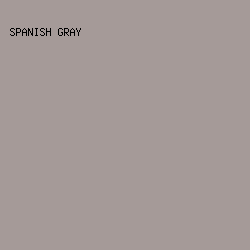 A59A98 - Spanish Gray color image preview
