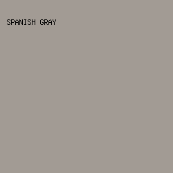 a29b94 - Spanish Gray color image preview