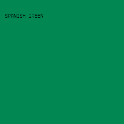008752 - Spanish Green color image preview