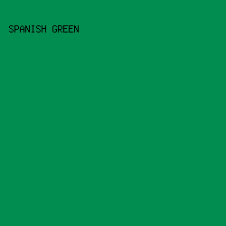 028D50 - Spanish Green color image preview