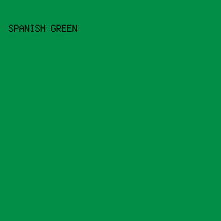 028e47 - Spanish Green color image preview