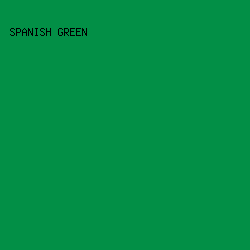 028f46 - Spanish Green color image preview