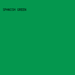 04974E - Spanish Green color image preview