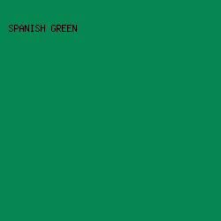 068751 - Spanish Green color image preview