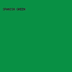 089145 - Spanish Green color image preview
