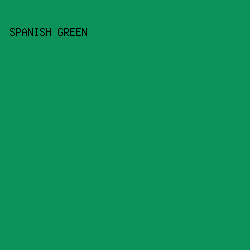 0B925B - Spanish Green color image preview