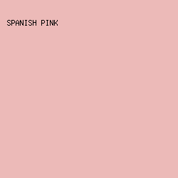 ECBAB8 - Spanish Pink color image preview