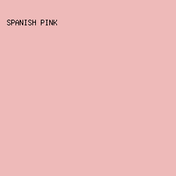 EEBAB9 - Spanish Pink color image preview