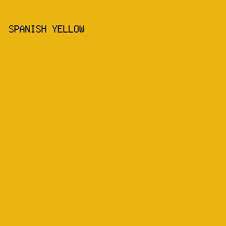 EAB511 - Spanish Yellow color image preview