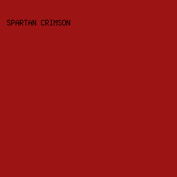 9D1414 - Spartan Crimson color image preview