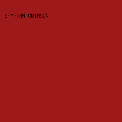9E1919 - Spartan Crimson color image preview
