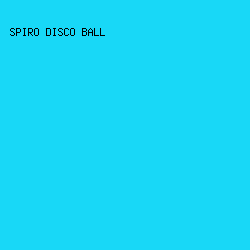 18D8F7 - Spiro Disco Ball color image preview