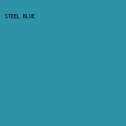 2E92A9 - Steel Blue color image preview