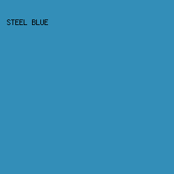 338eb8 - Steel Blue color image preview