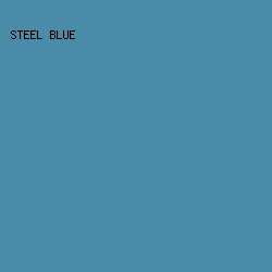 498ba9 - Steel Blue color image preview