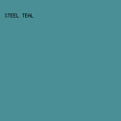 4B8F96 - Steel Teal color image preview