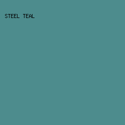 4D8C8D - Steel Teal color image preview