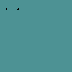 4D9294 - Steel Teal color image preview