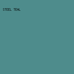 4E8C8C - Steel Teal color image preview