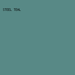 588986 - Steel Teal color image preview
