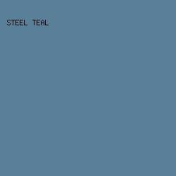 598098 - Steel Teal color image preview
