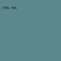 5C888B - Steel Teal color image preview