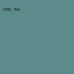 5D8B8B - Steel Teal color image preview