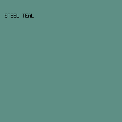 5E8F85 - Steel Teal color image preview