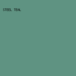 5F9382 - Steel Teal color image preview