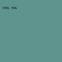 5F948E - Steel Teal color image preview