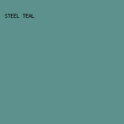 5c918d - Steel Teal color image preview