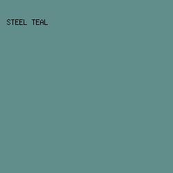 618e8a - Steel Teal color image preview