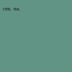 619484 - Steel Teal color image preview