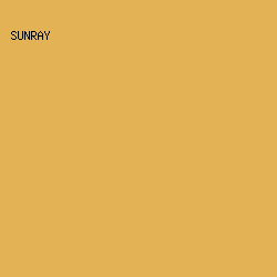 E2B254 - Sunray color image preview