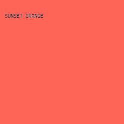 fe6556 - Sunset Orange color image preview