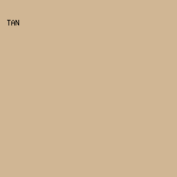 D0B694 - Tan color image preview