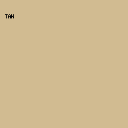 D1BB91 - Tan color image preview