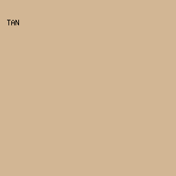 D2B694 - Tan color image preview