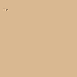 D9B891 - Tan color image preview