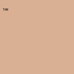 dab094 - Tan color image preview