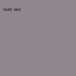 8E878C - Taupe Gray color image preview