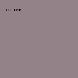 938388 - Taupe Gray color image preview