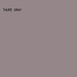 948689 - Taupe Gray color image preview