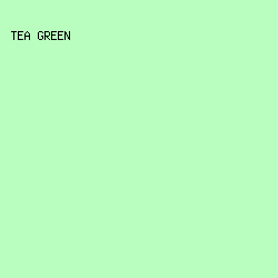 B9FDBF - Tea Green color image preview