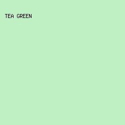 BFF0C4 - Tea Green color image preview