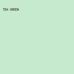 C5EBCE - Tea Green color image preview