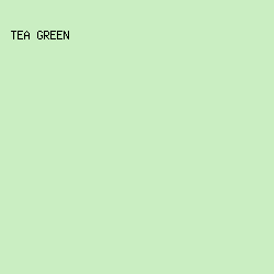 CAEEC2 - Tea Green color image preview
