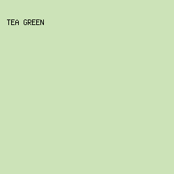 CCE3B8 - Tea Green color image preview